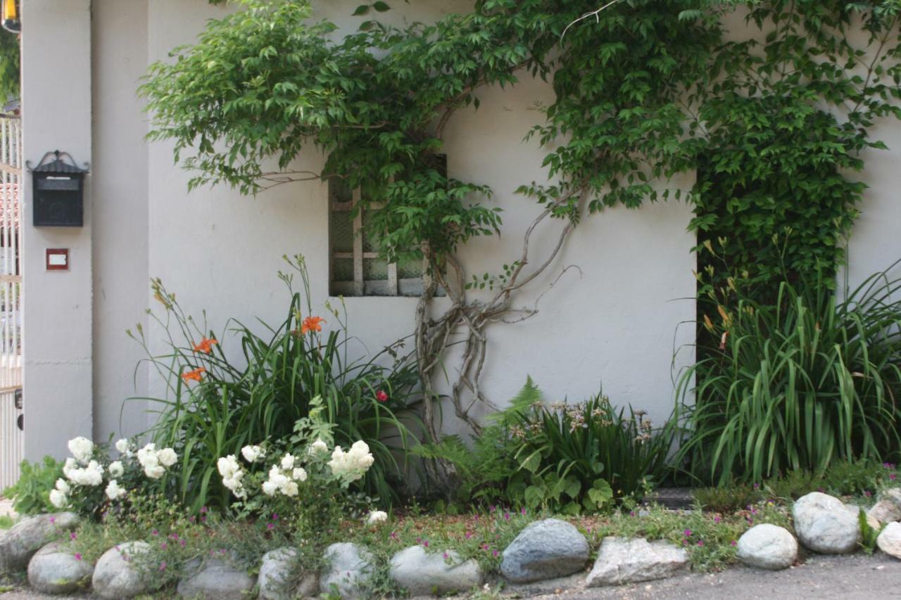 Guest House Al Devesio Rifreddo Екстер'єр фото